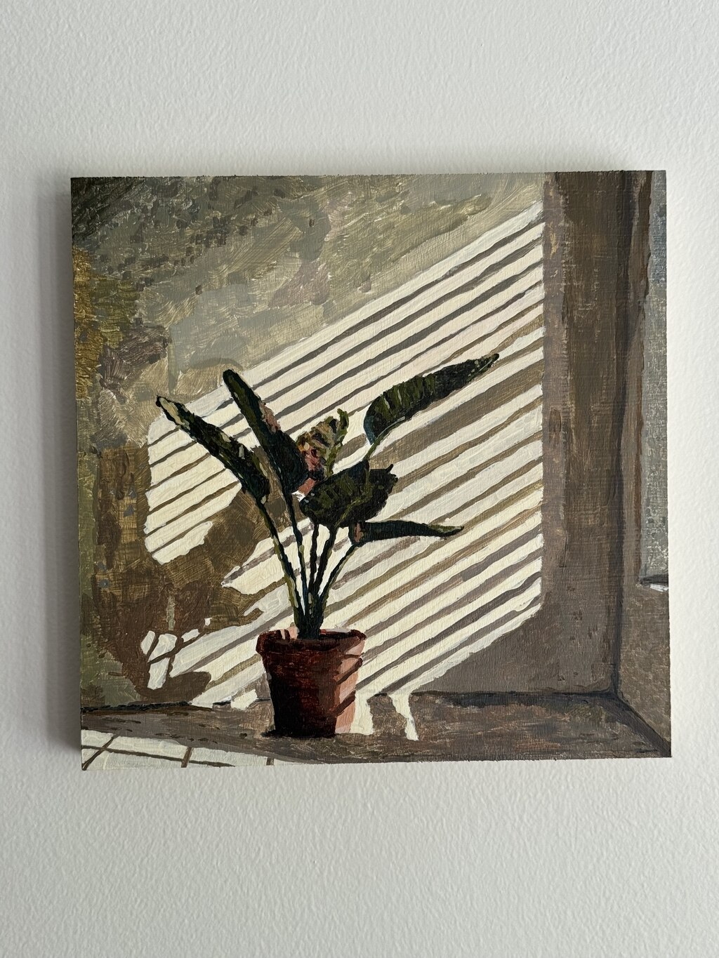 Plant
